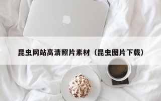 桂阳昆虫网站高清照片素材（昆虫图片下载）